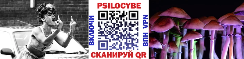 Псилоцибиновые грибы Psilocybine cubensis  Богучар 